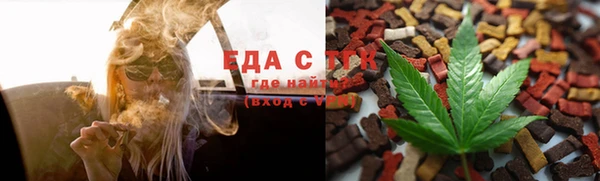 прущие грибы Абаза