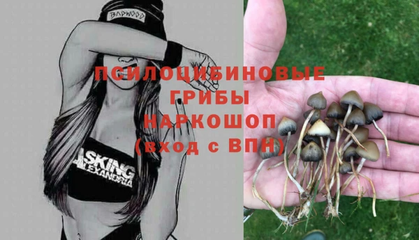 ALPHA PVP Алзамай
